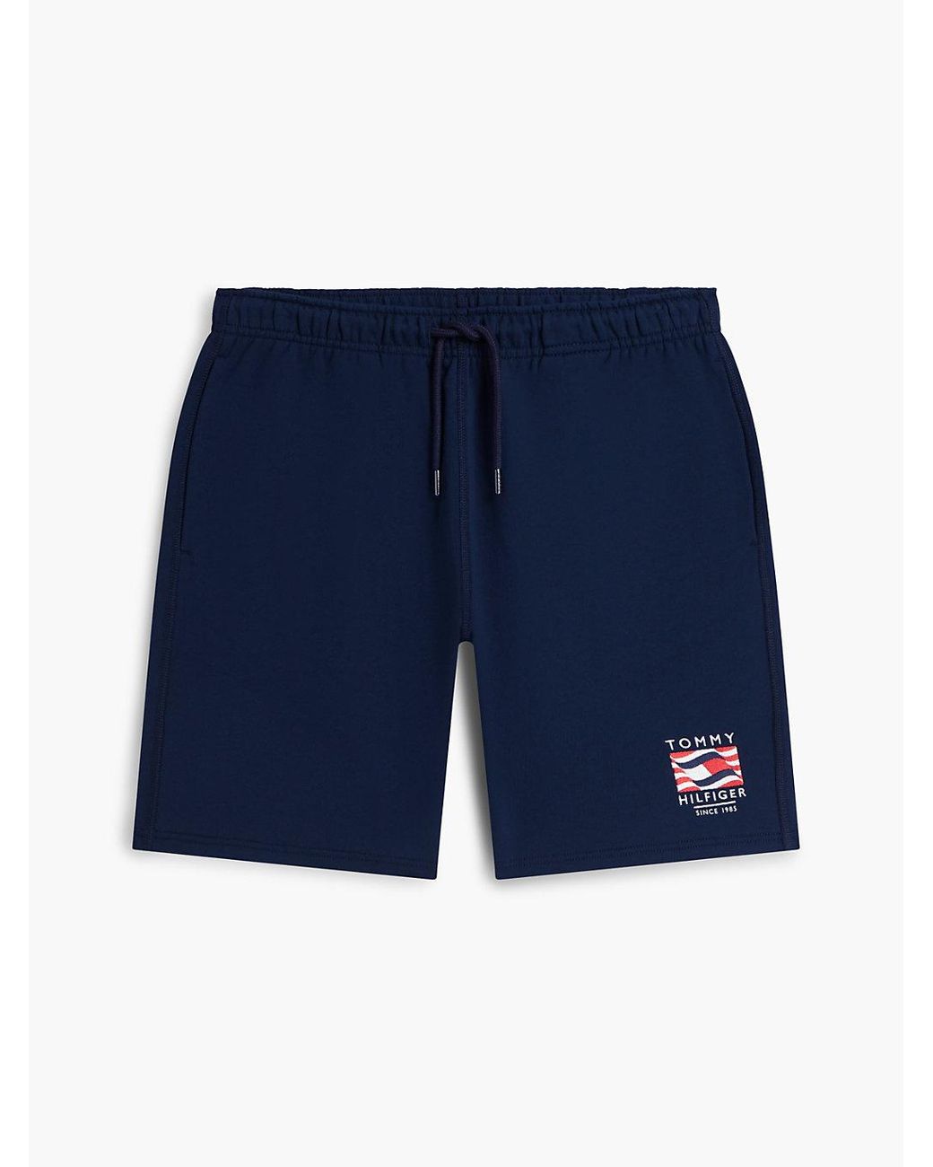 Tommy Hilfiger Blue Logo Embroidery Terry Sweat Shorts for men