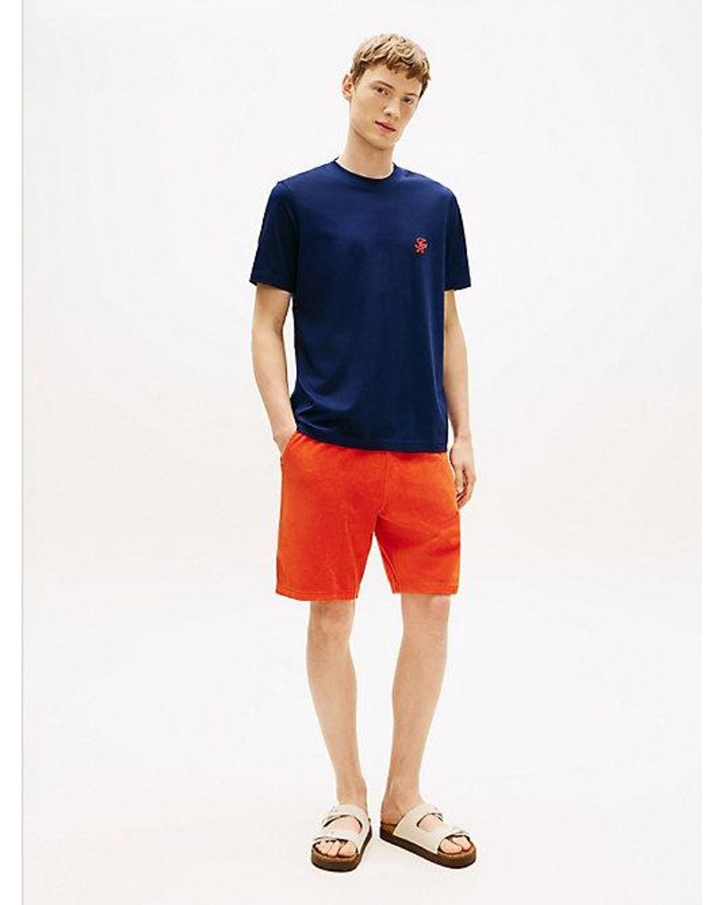 Tommy Hilfiger Blue Logo Embroidery Jersey T-shirt for men