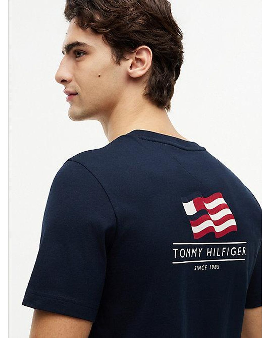 Tommy Hilfiger Blue Wavy Flag Back Graphic Jersey T-Shirt for men