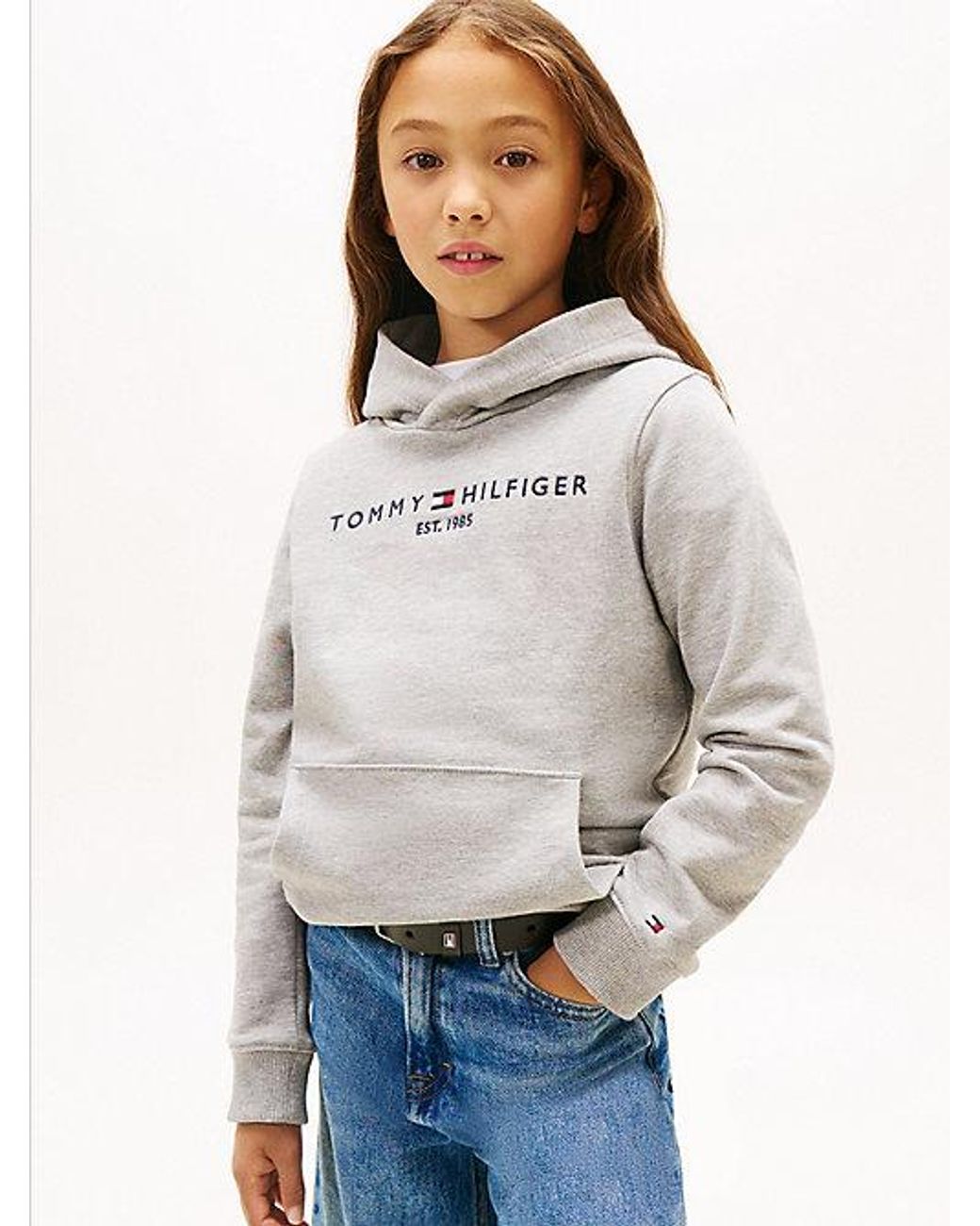 Tommy Hilfiger Gray Essential Logo Pure Cotton Hoody
