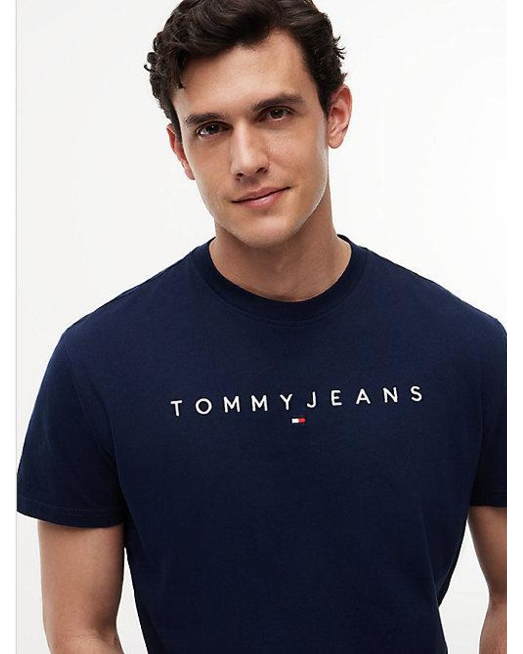 Tommy Hilfiger Blue Linear Logo Jersey T-shirt for men