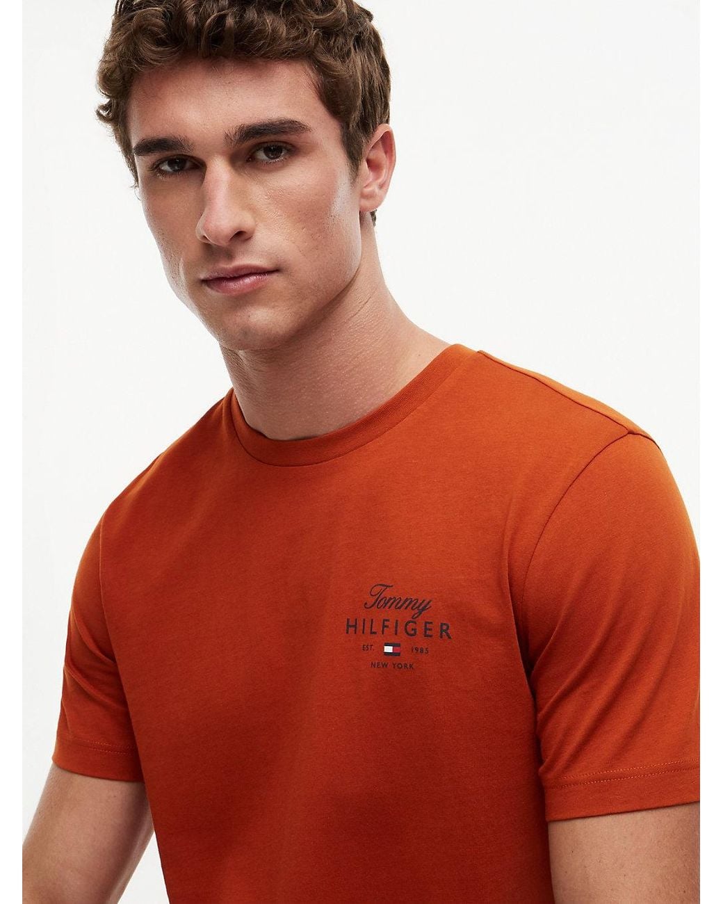 Tommy Hilfiger Red Logo Jersey Crew Neck T-Shirt for men
