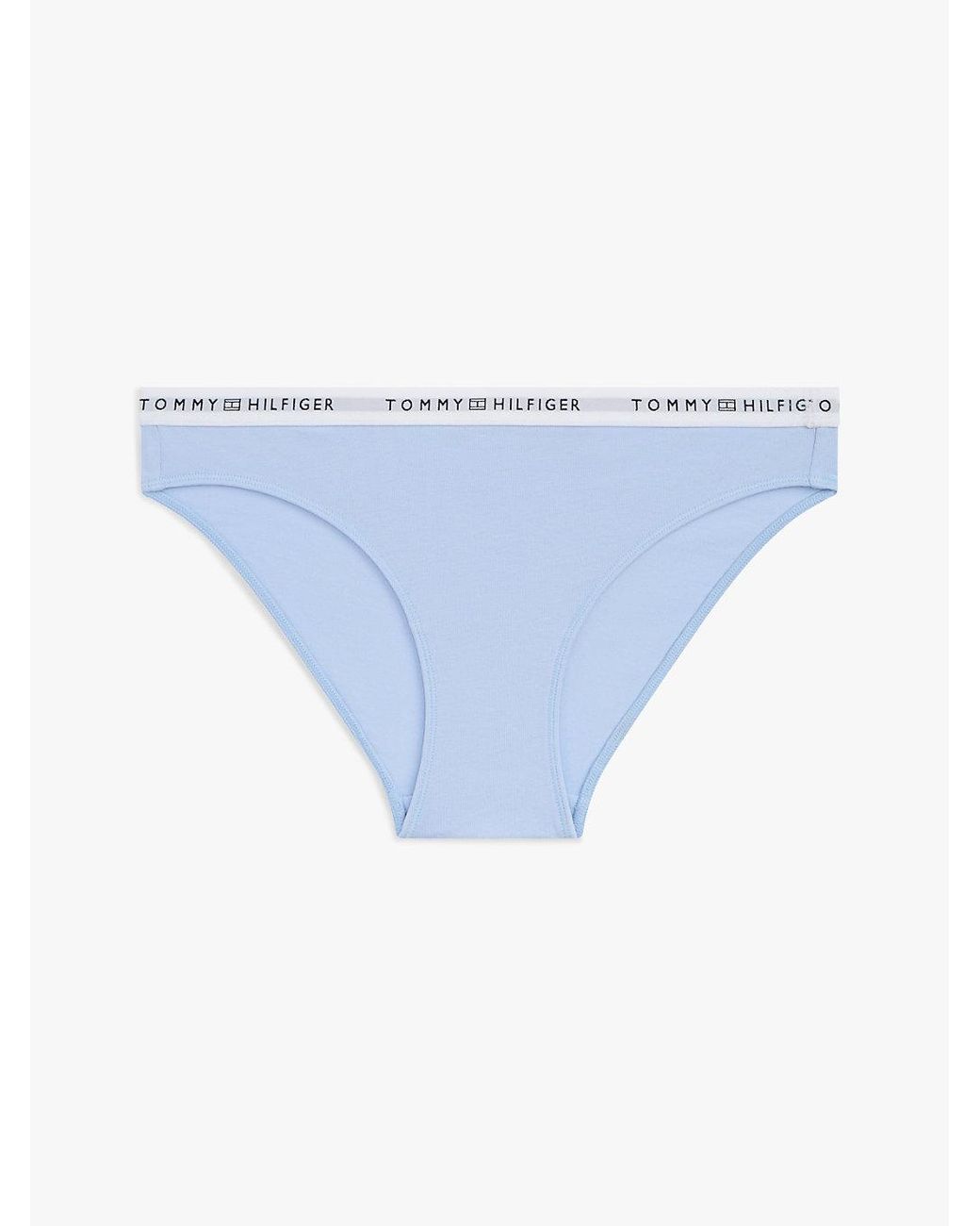 Tommy Hilfiger Blue Logo Waistband Briefs