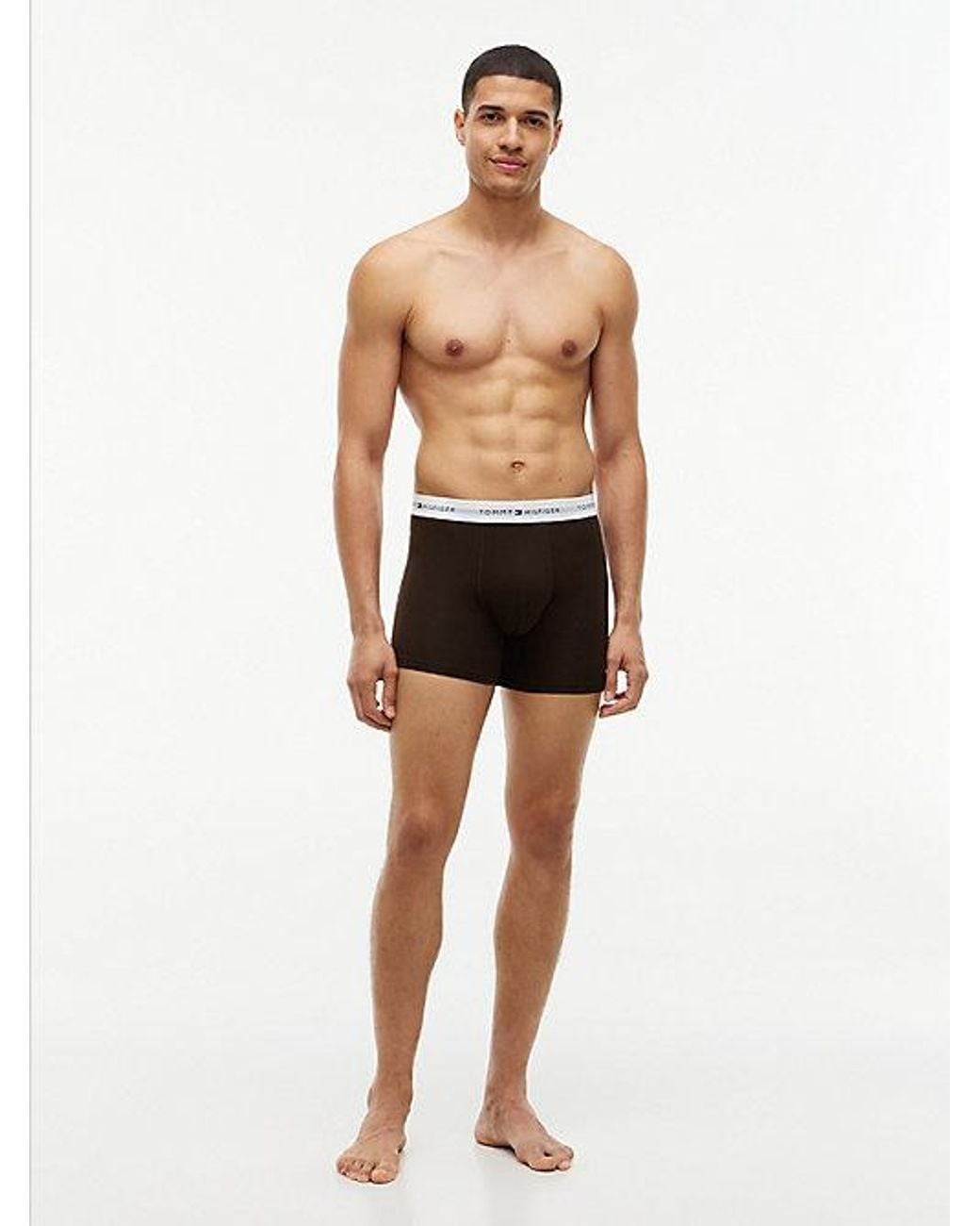 Tommy Hilfiger Multicolor 3 Pack Signature Logo Waistband Boxer Briefs for men