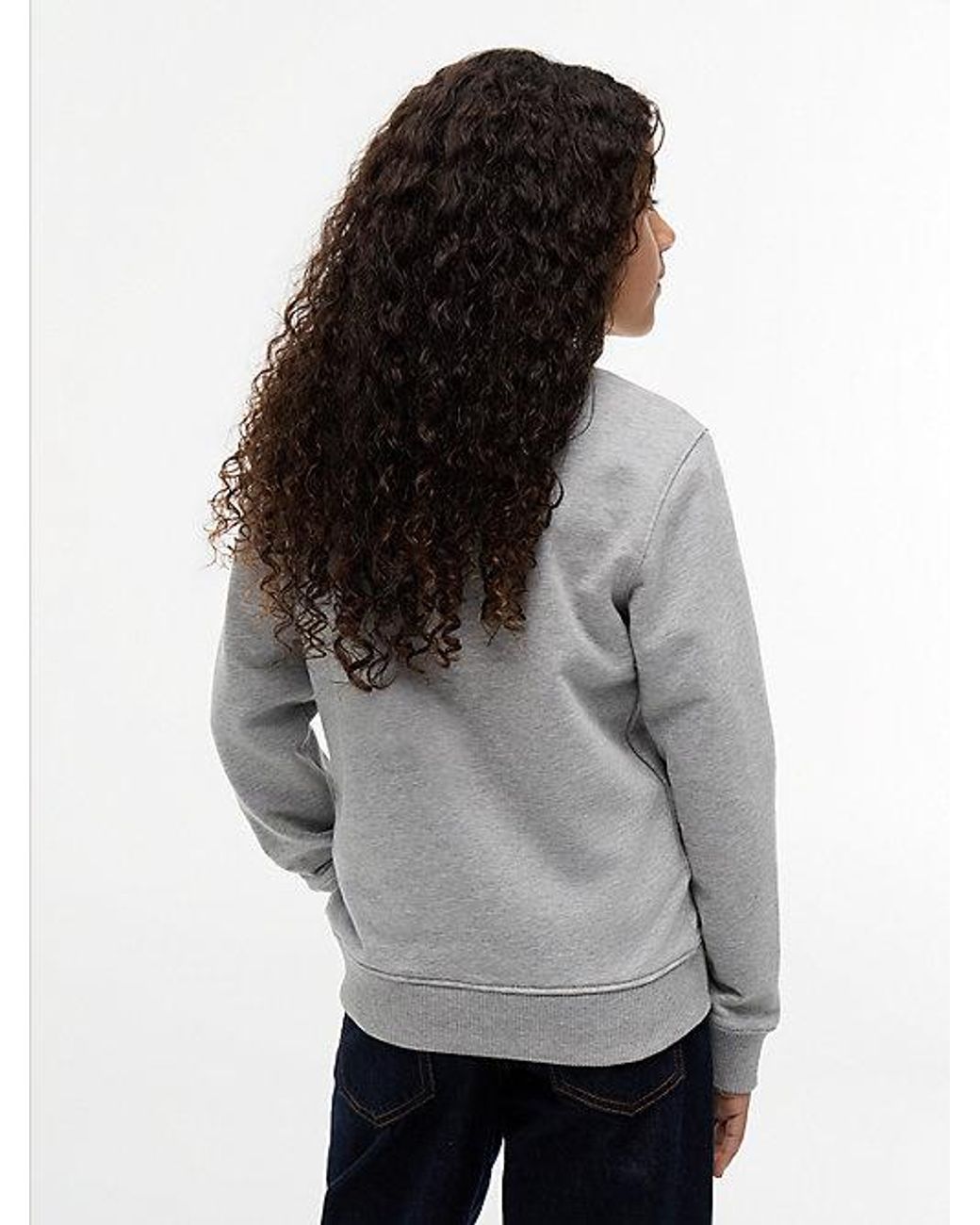 Tommy Hilfiger Gray Essential Logo Sweatshirt