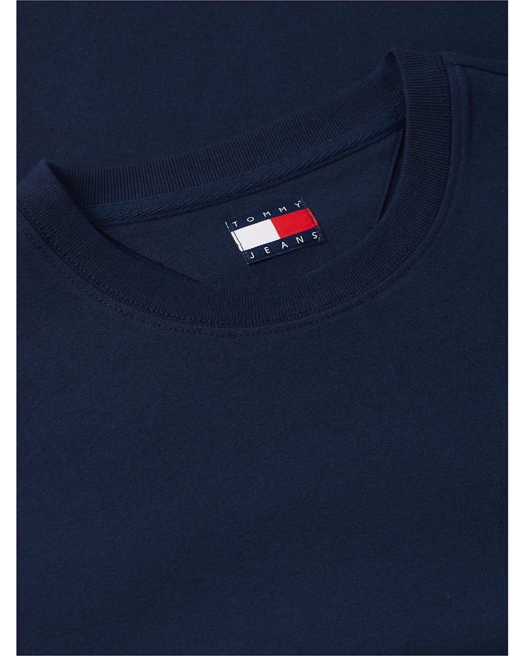Tommy Hilfiger Blue Back Graphic Relaxed Jersey T-Shirt for men