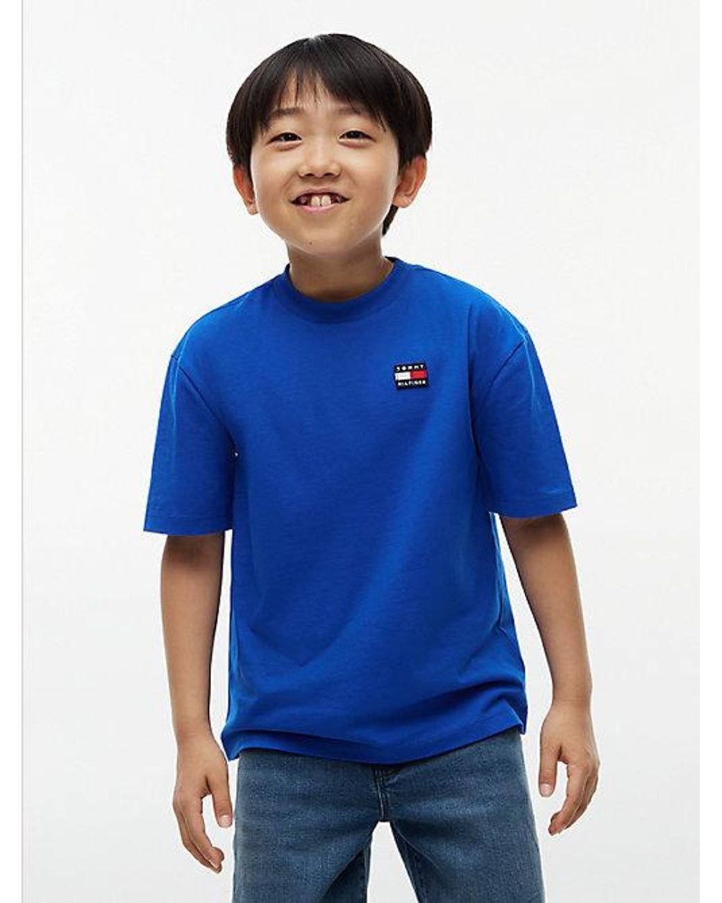Tommy Hilfiger Blue Heritage Flag Logo Relaxed Jersey T-Shirt