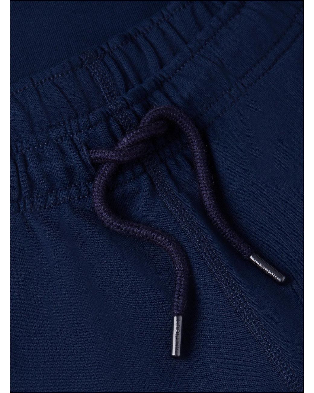 Tommy Hilfiger Blue Logo Embroidery Terry Sweat Shorts for men