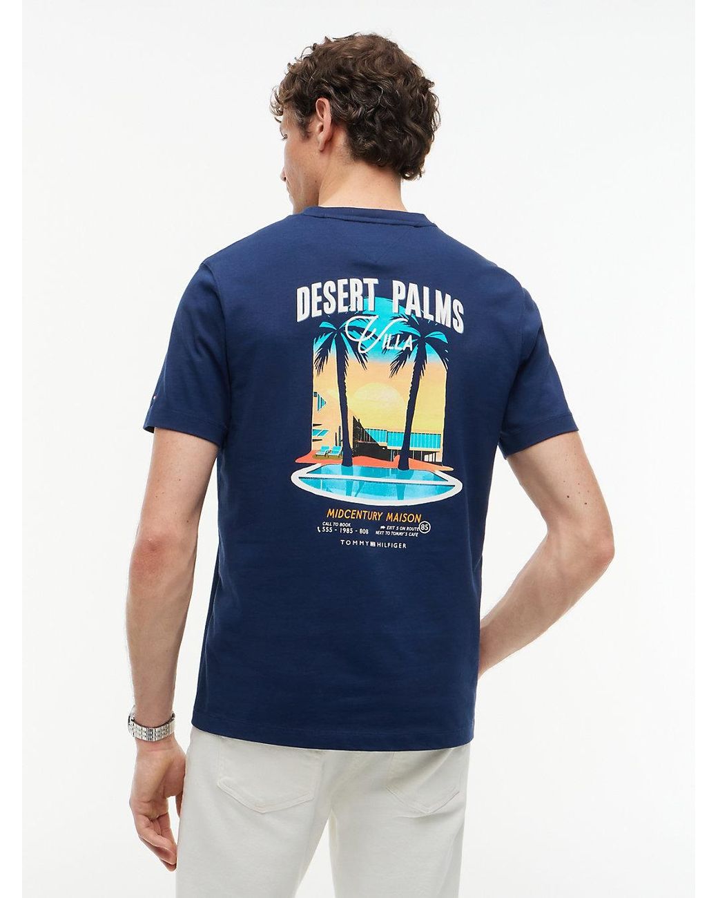 Tommy Hilfiger Blue Back Graphic Jersey T-Shirt for men