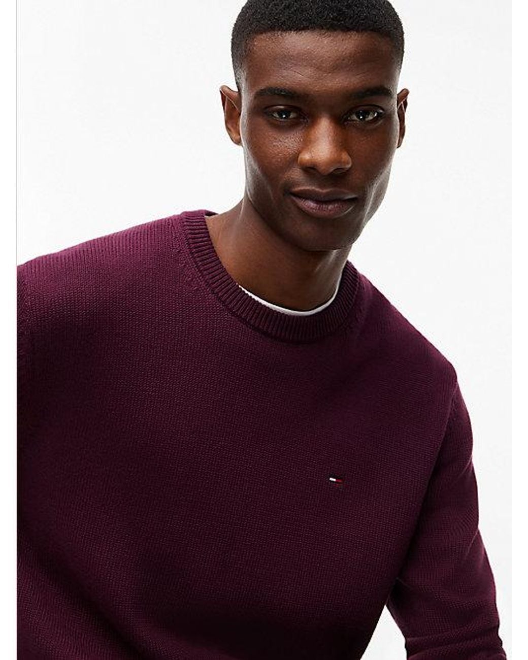 Tommy Hilfiger Purple Tommy Jeans Tommy Flag Textured Slim Jumper for men
