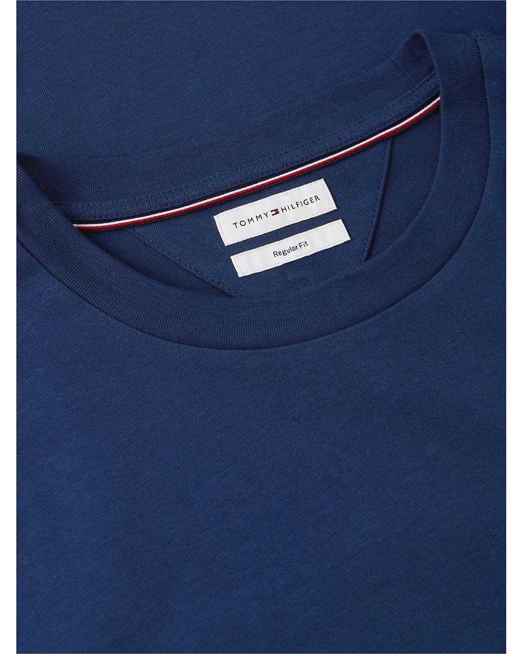 Tommy Hilfiger Blue Back Graphic Jersey T-Shirt for men