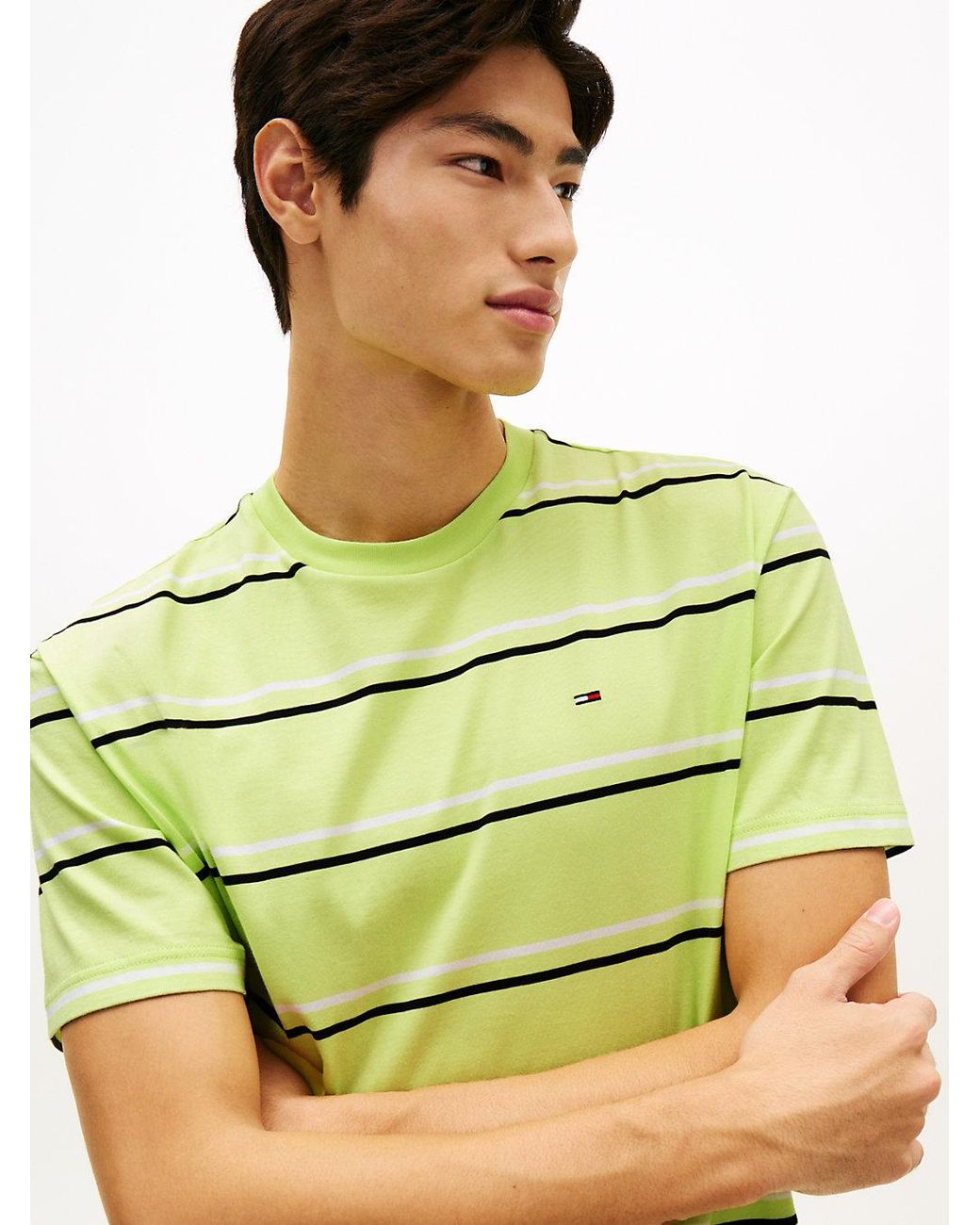 Tommy Hilfiger Green Hilfiger Flag Stripe Relaxed Jersey T-Shirt for men