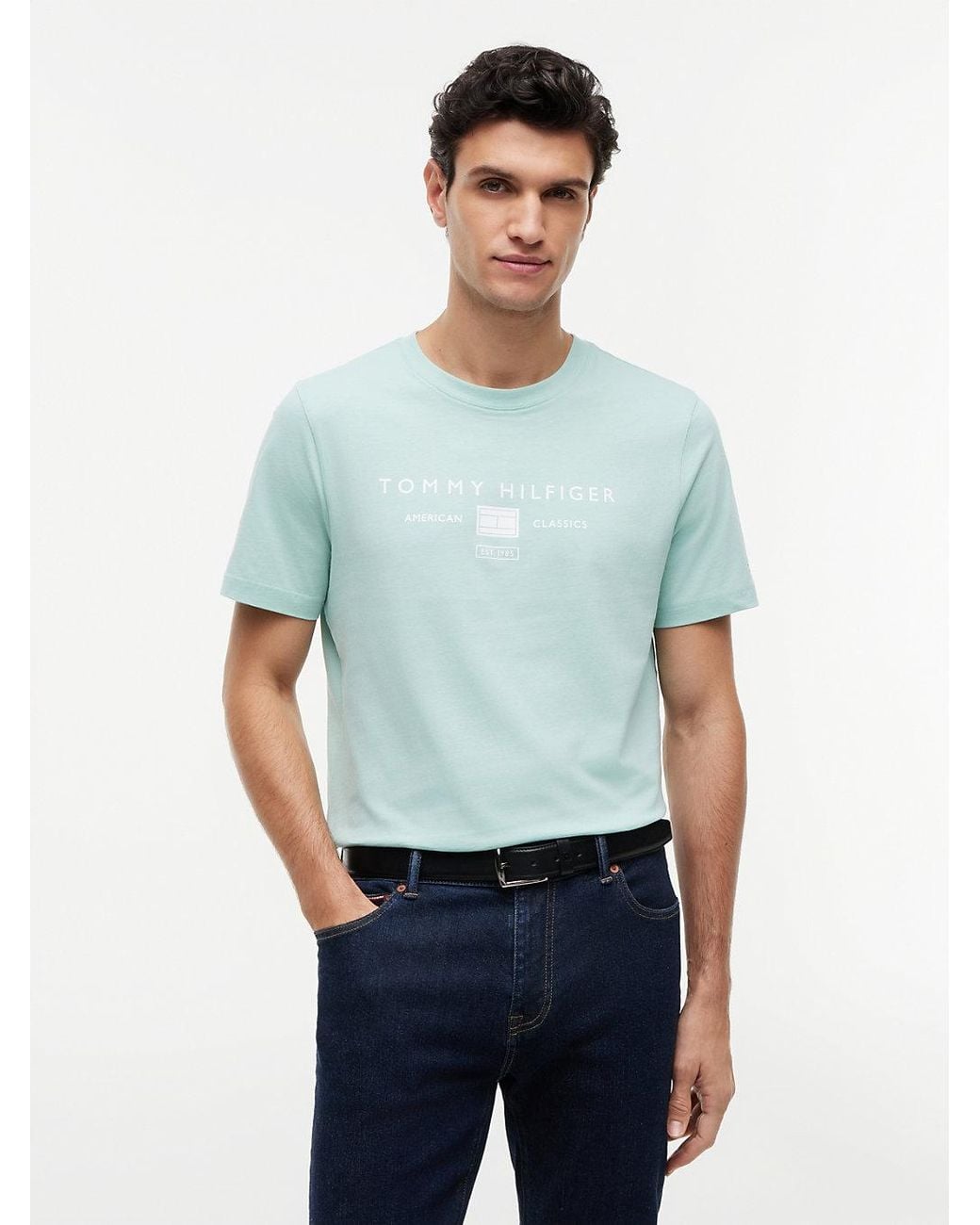 Tommy Hilfiger Green Jersey Logo T-Shirt for men
