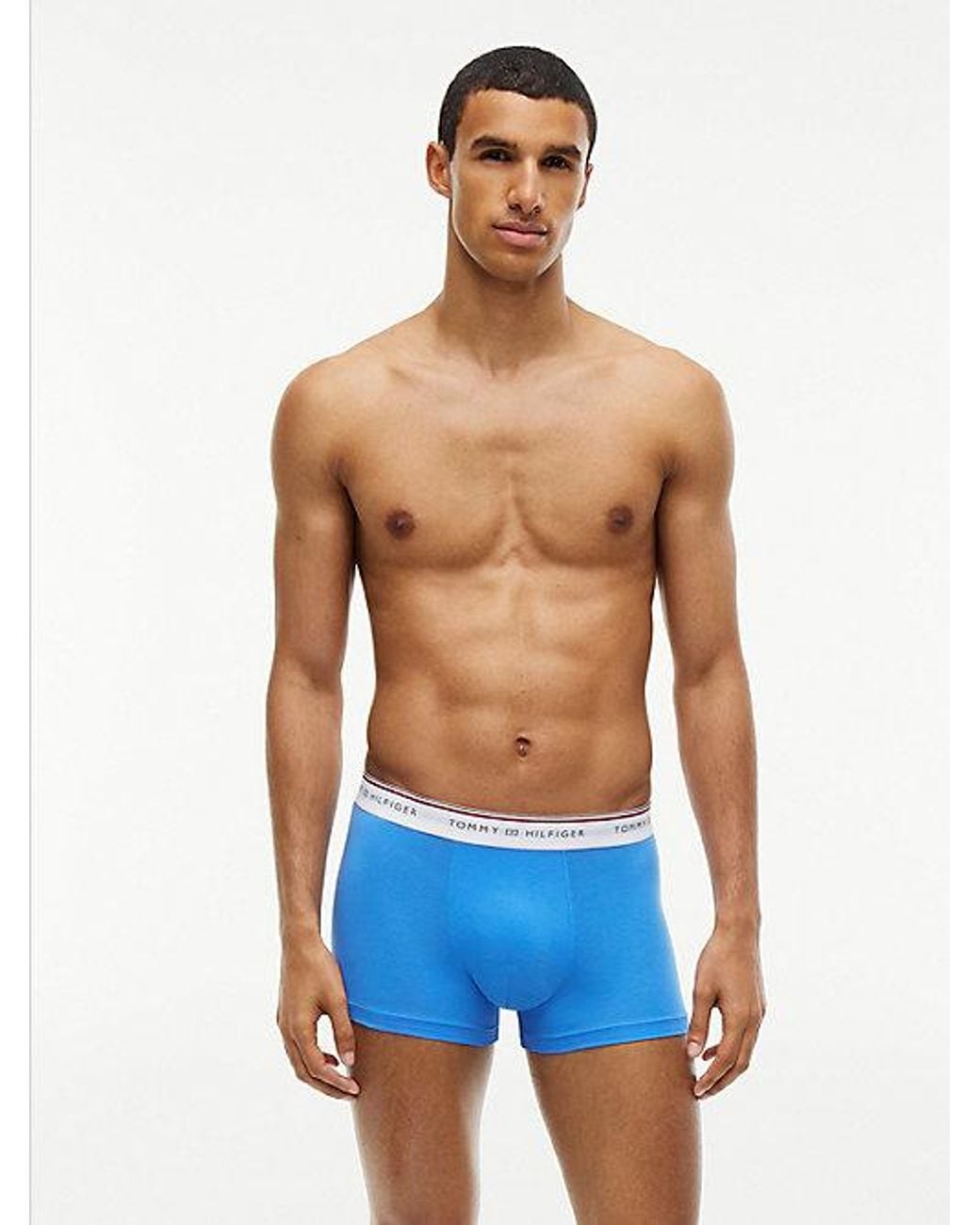 Tommy Hilfiger Gray 3 Pack Global Stripe Logo Waistband Trunks for men