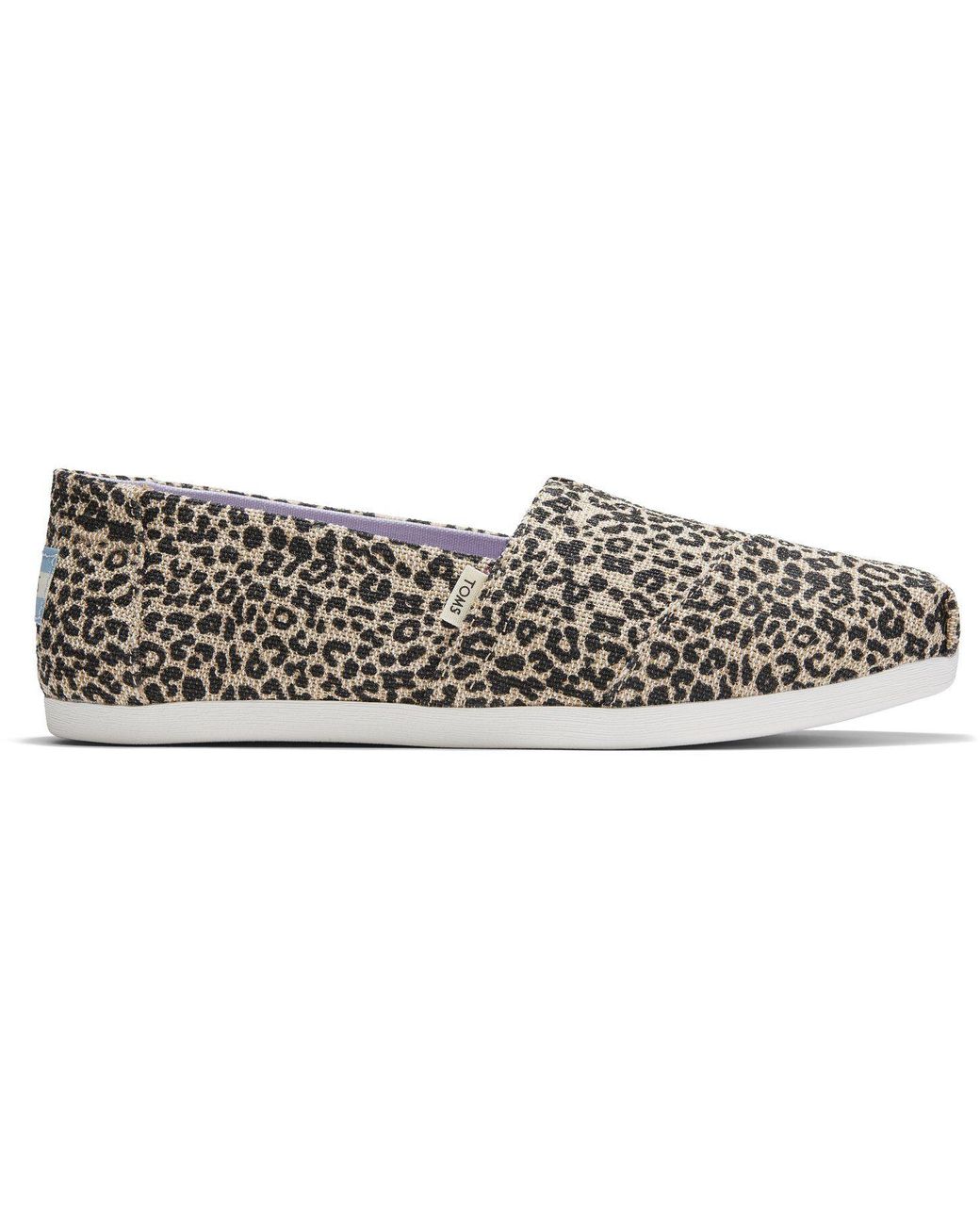 toms baby cheetah