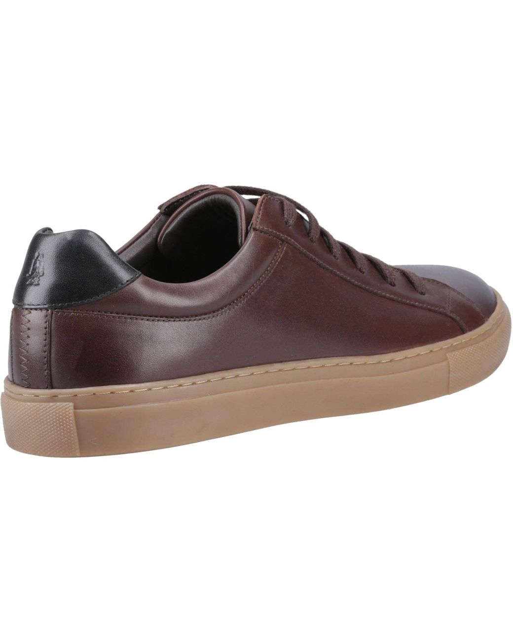 Hush Puppies Brown Colton Leather Coffee Trainers for men