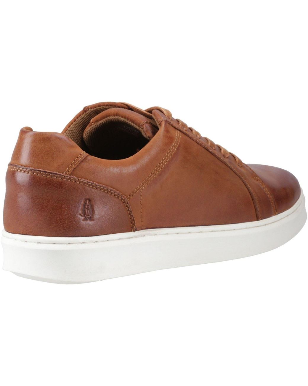 Hush Puppies Brown Madden Leather Trainers for men