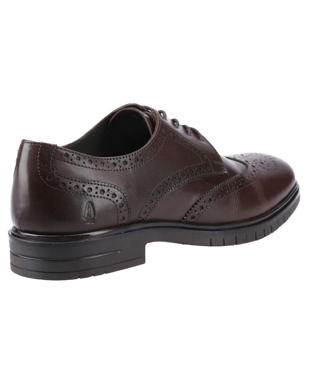 Hush Puppies Brown Santiago Leather Brogues Shoes for men