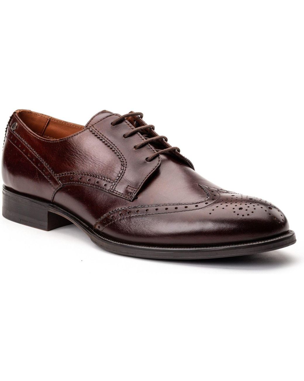 Base London Brown Bell Leather Burnt Brogues Shoes for men
