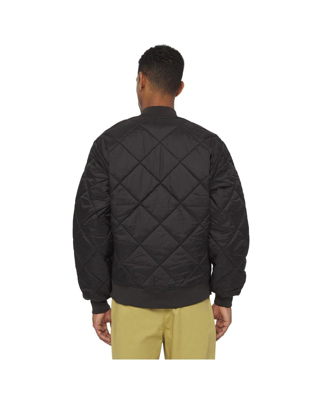 Dickies Black Diamond Quilted Jacket Nylon for men