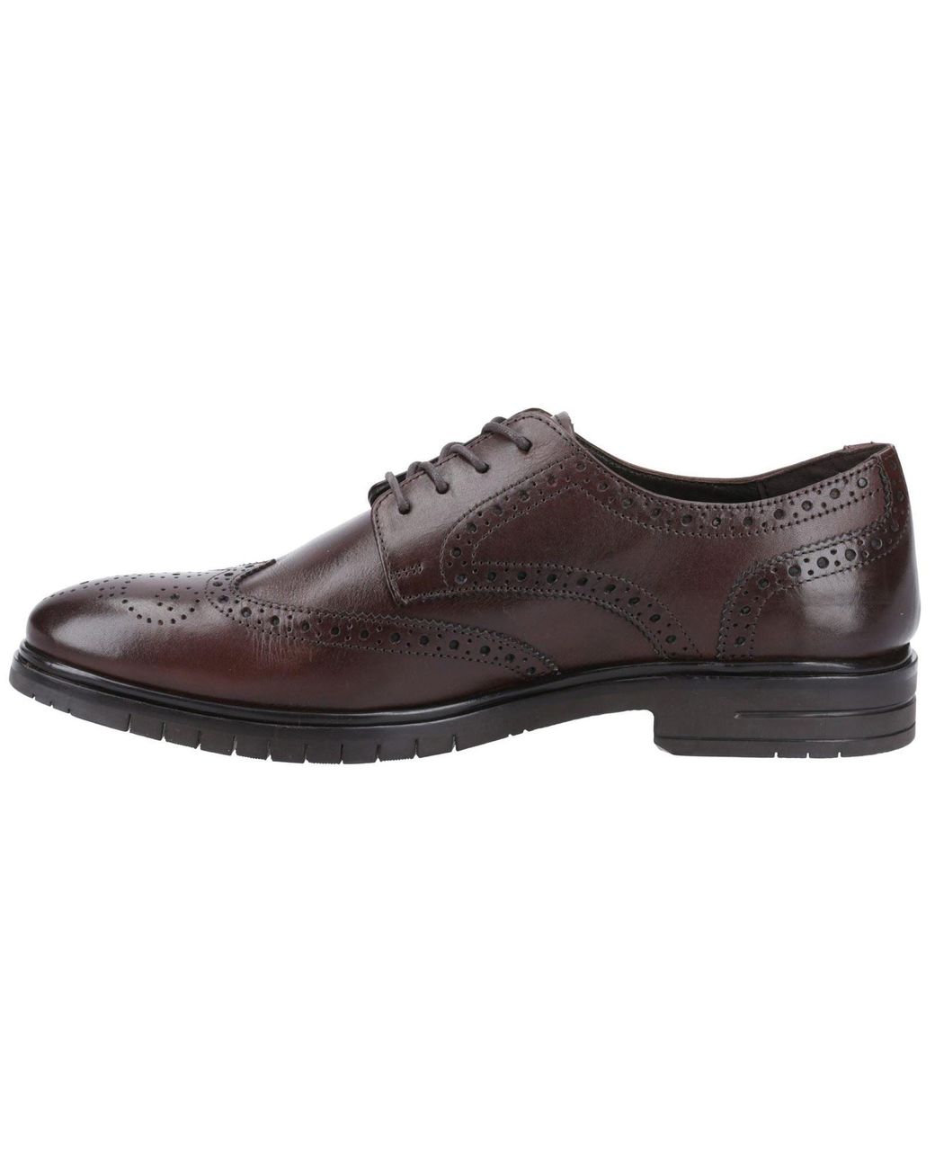 Hush Puppies Brown Santiago Leather Brogues Shoes for men