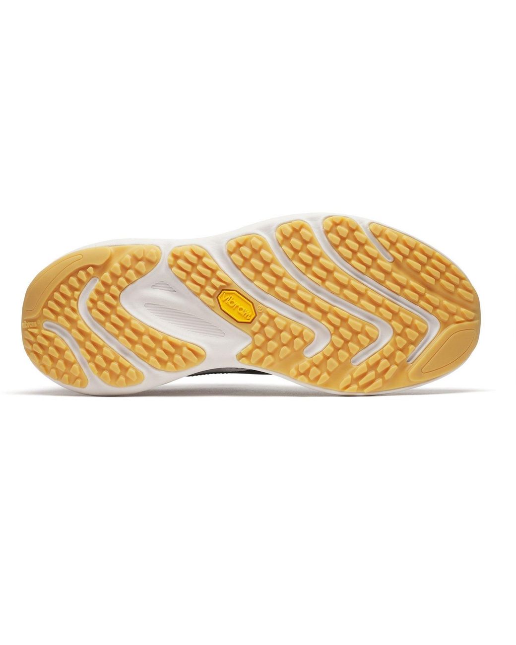 Merrell Multicolor Promorph Trail Running Shoe for men