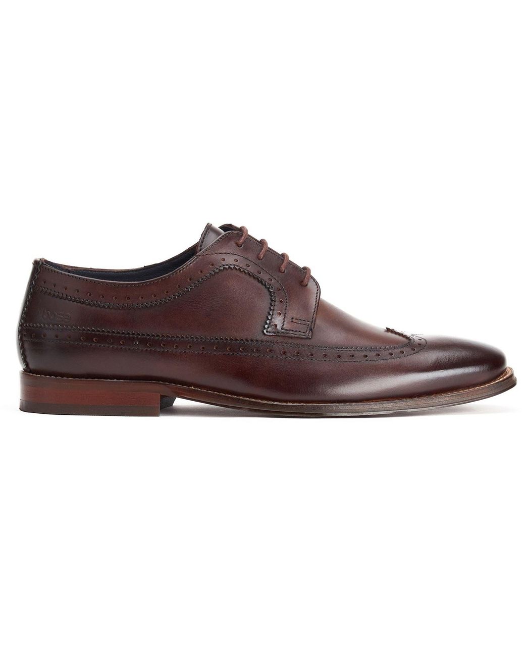 Base London Brown Havisham Leather Derby Shoes for men