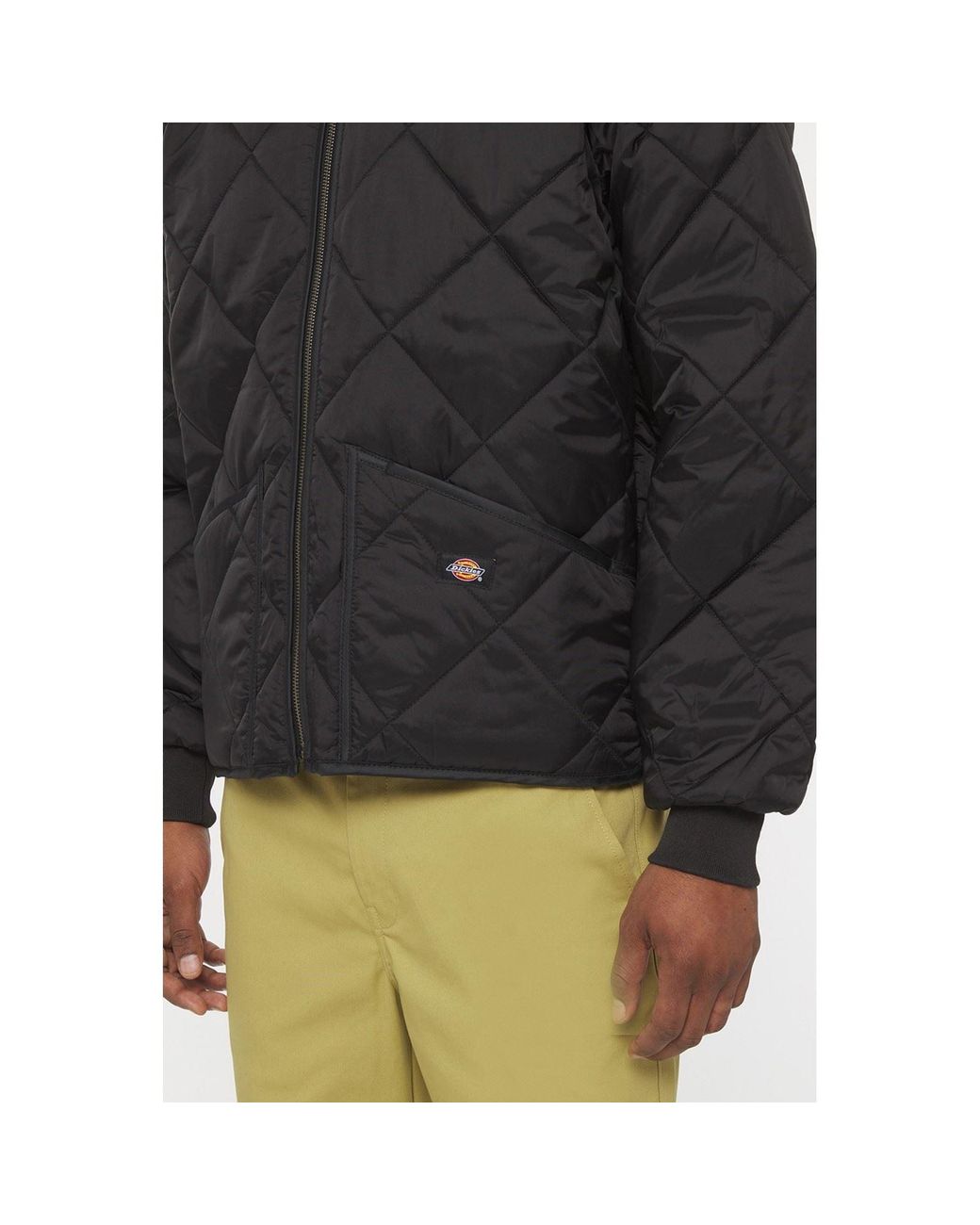 Dickies Black Diamond Quilted Jacket Nylon for men