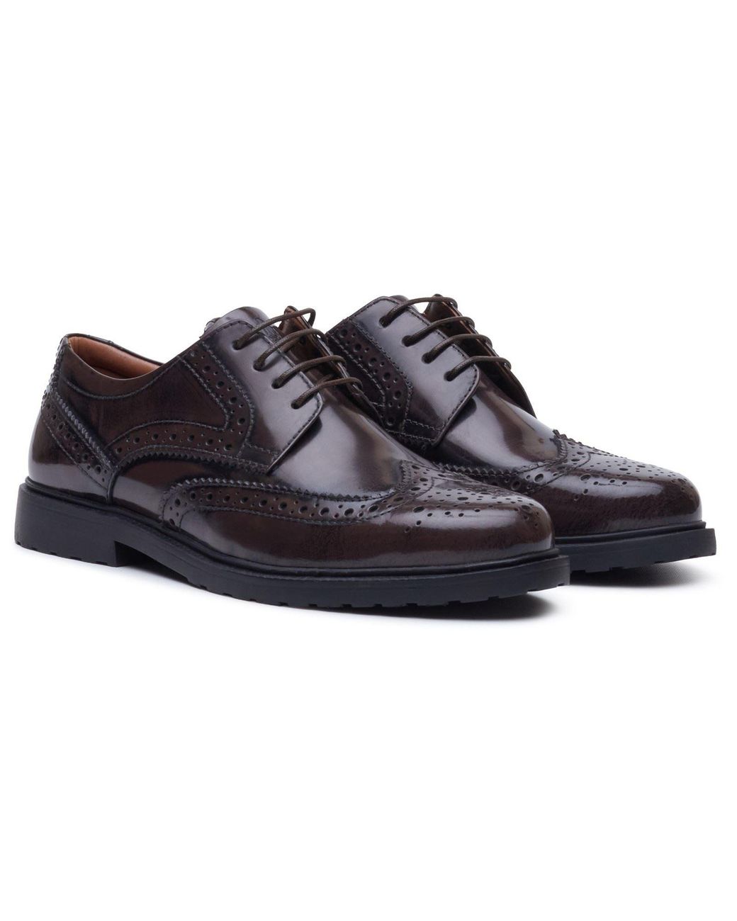 Hush Puppies Blue Verity Hi-Shine Leather Chocolate Brogues Shoes