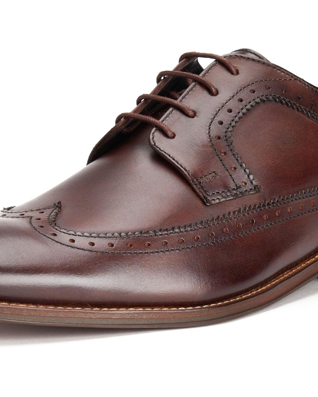 Base London Brown Havisham Leather Derby Shoes for men