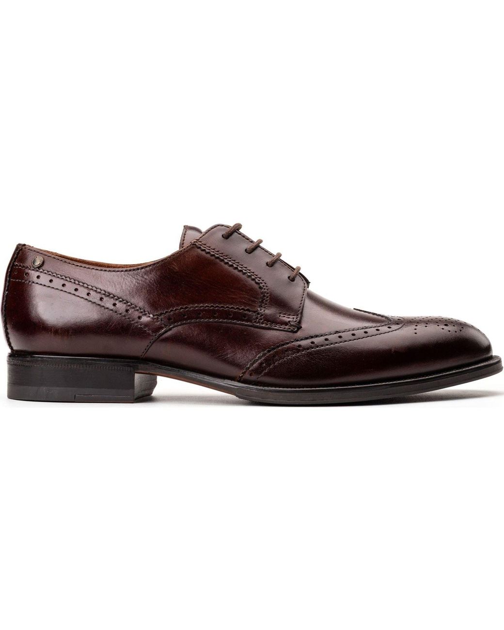 Base London Brown Bell Leather Burnt Brogues Shoes for men