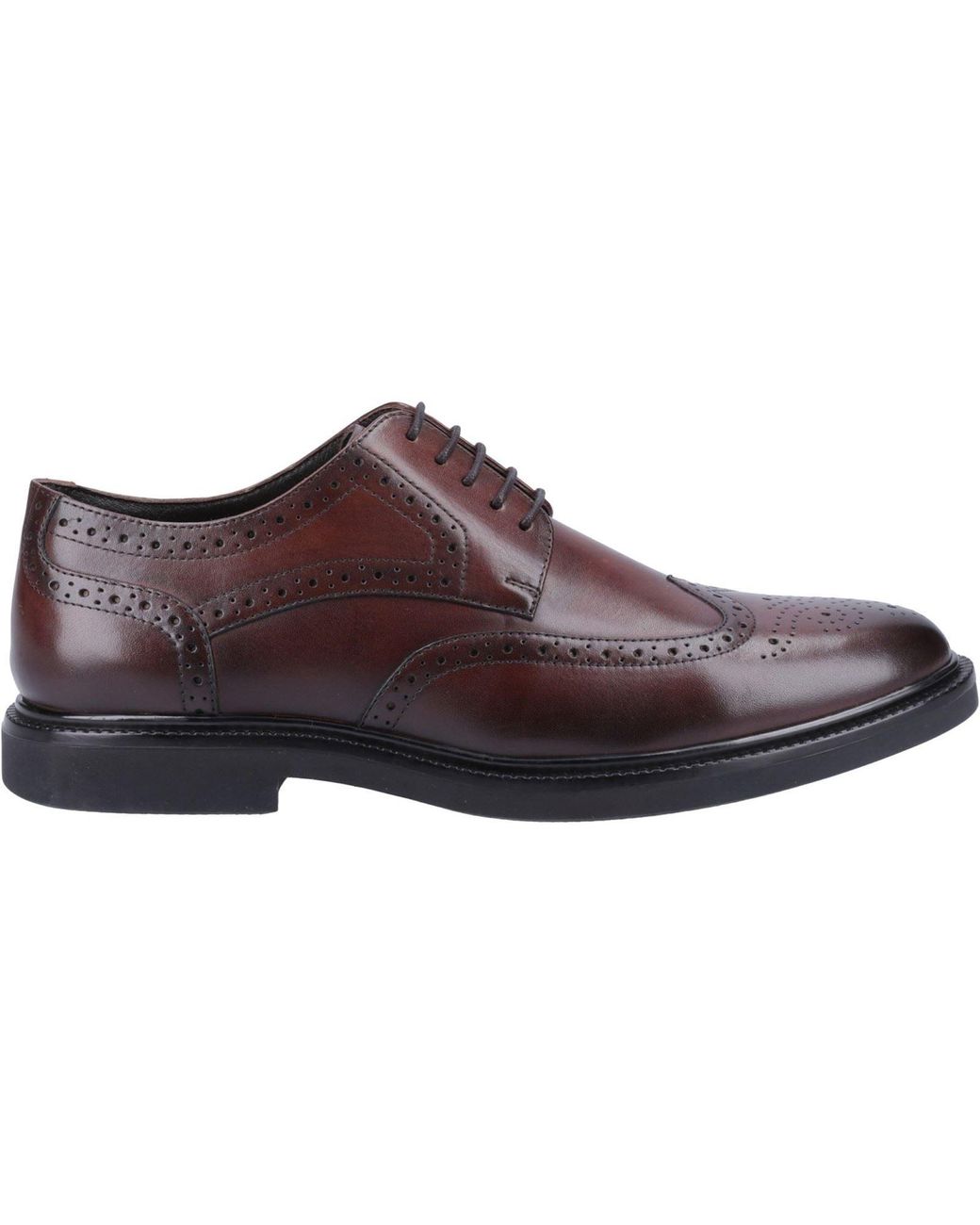 Hush Puppies Brown Kingston Leather Brogues Shoes for men