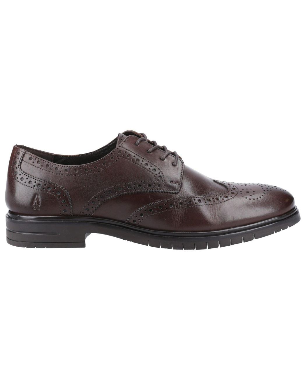 Hush Puppies Brown Santiago Leather Brogues Shoes for men