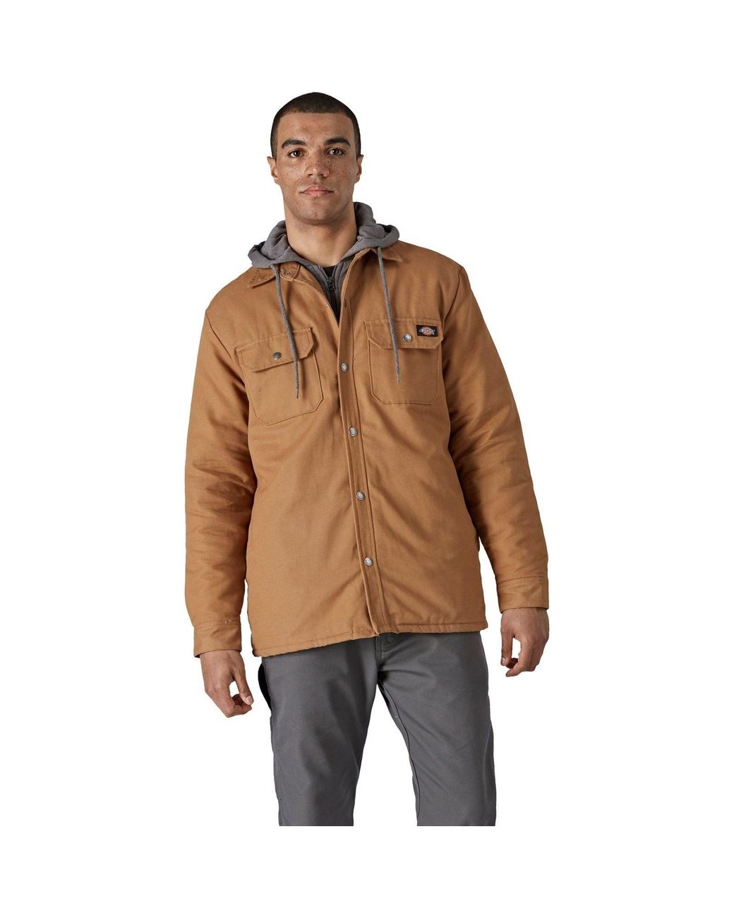 Dickies Brown Duck Shirt Jacket Cotton for men