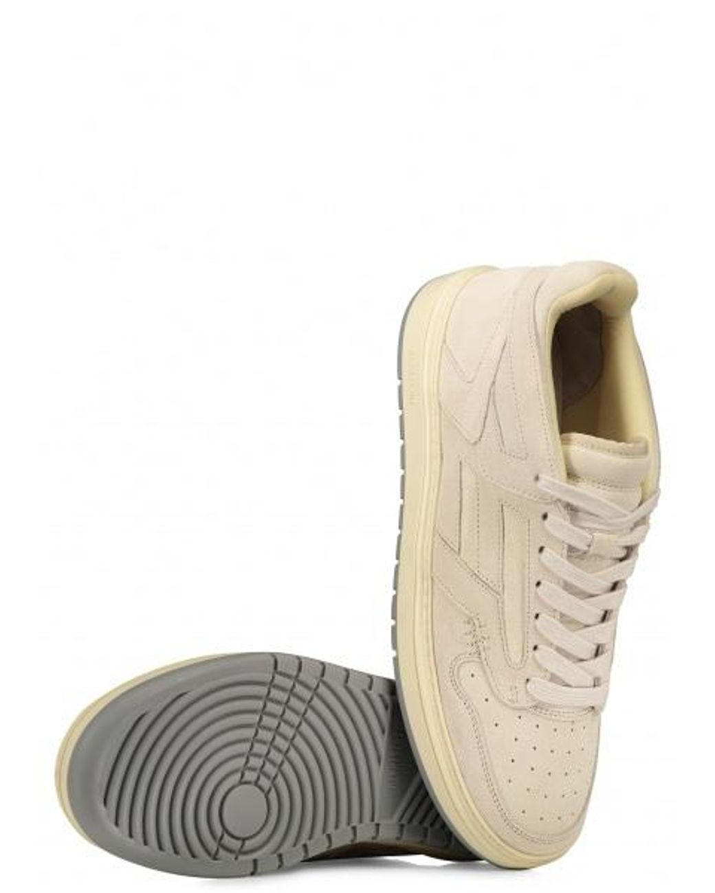 represent reptor low brown