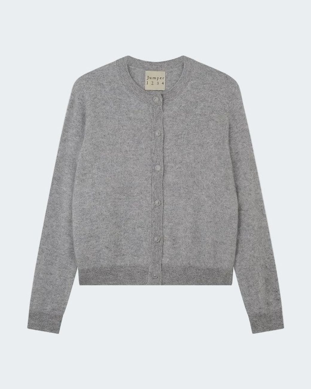 Jumper 1234 Gray Brushed Cashmere Cardigan