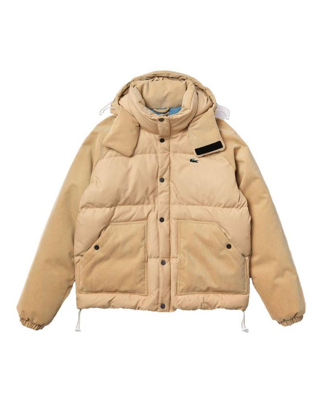 Lacoste Beige Down Coat in Natural for 