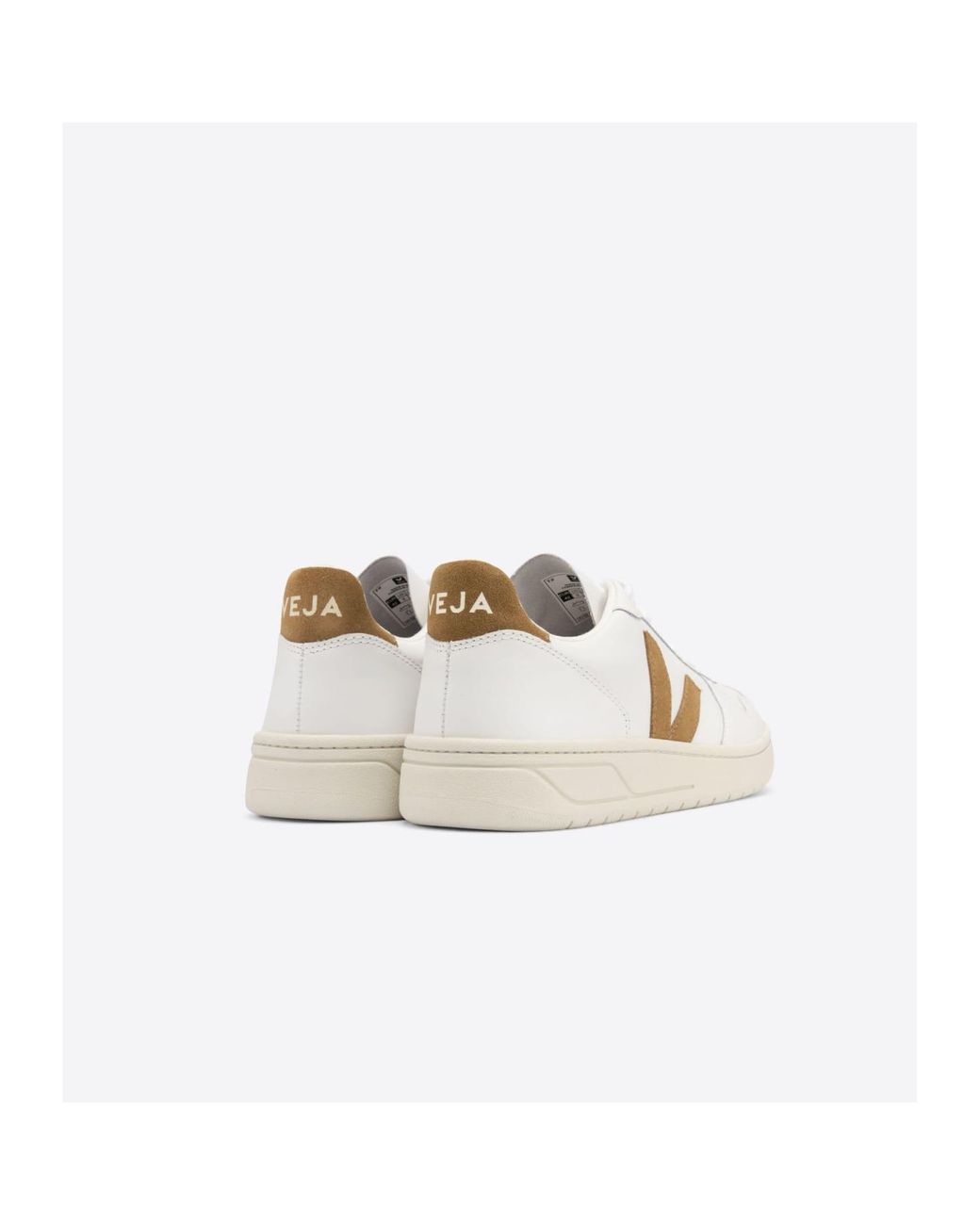 veja camel trainers