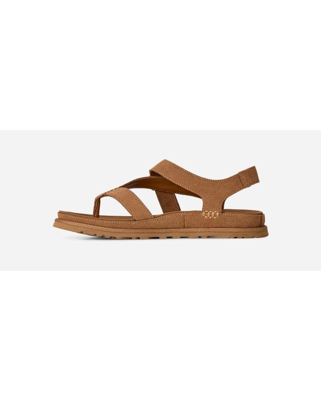 Ugg Brown Goldengaze Zehentrenner-Sandale Für Damen