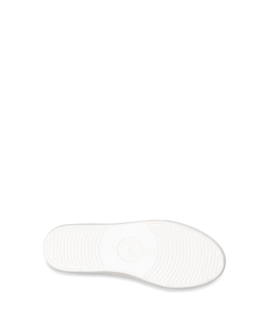 olli heritage trainer