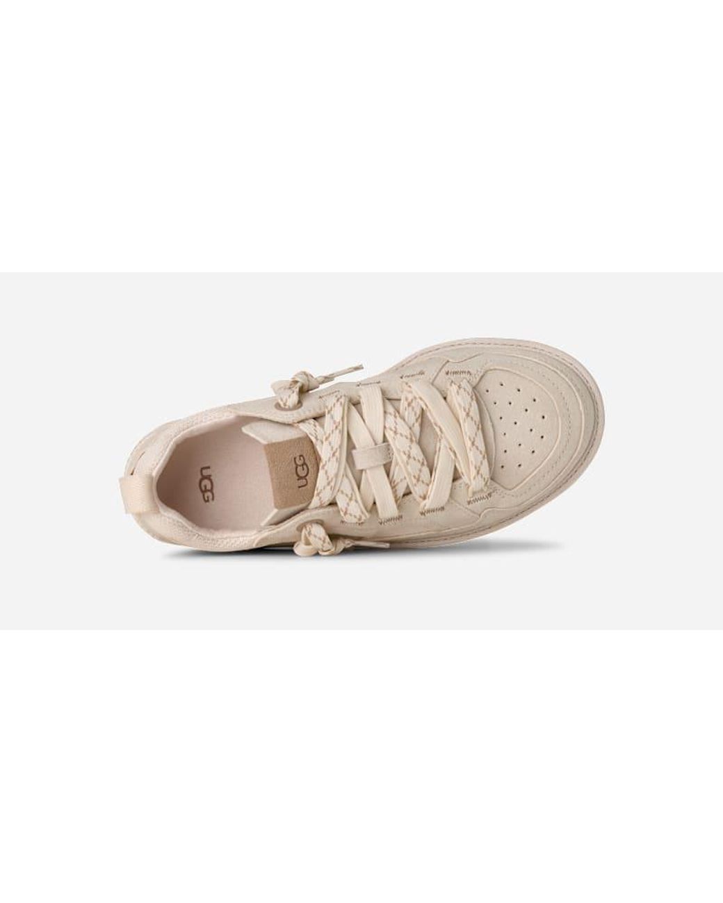 Basket Minimel Ugg en coloris White