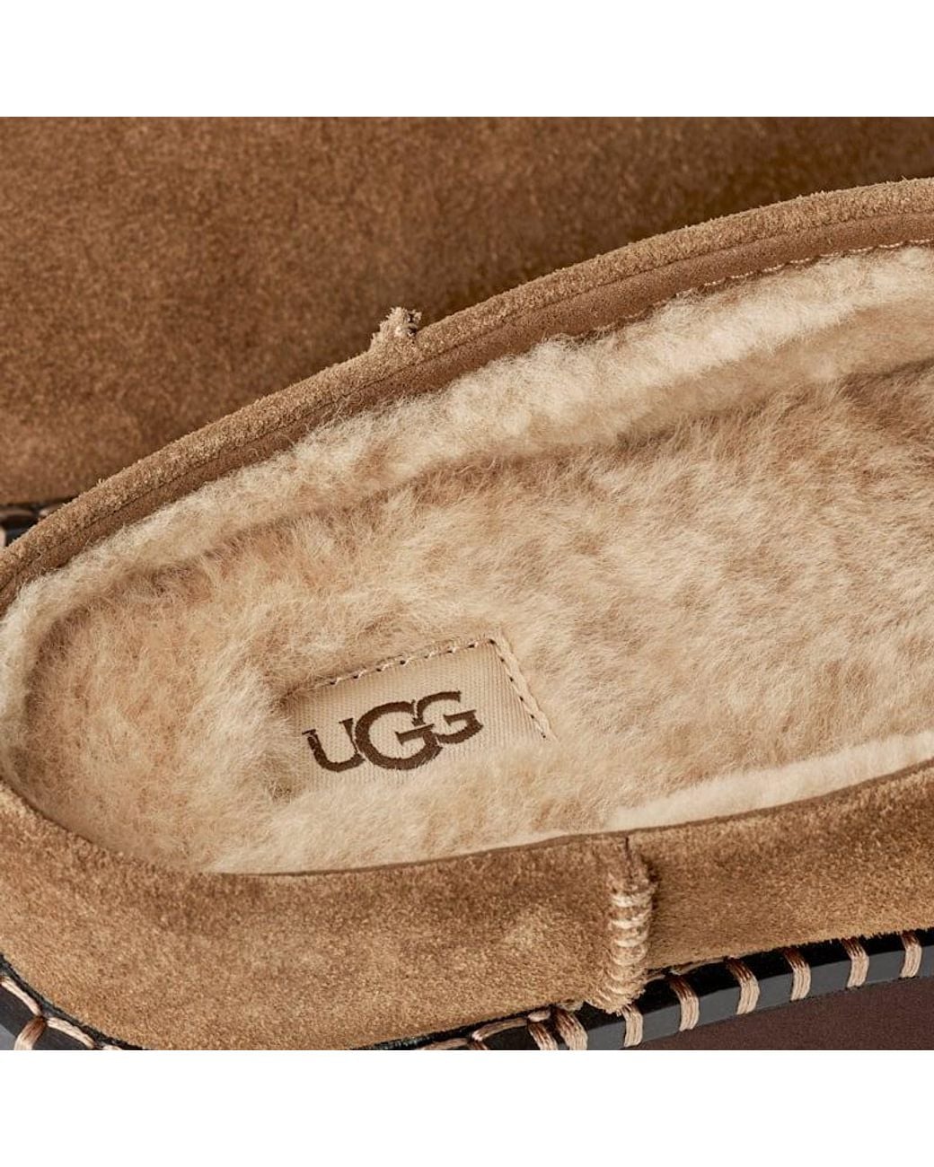 Mule Uptowner Ugg en coloris Brown