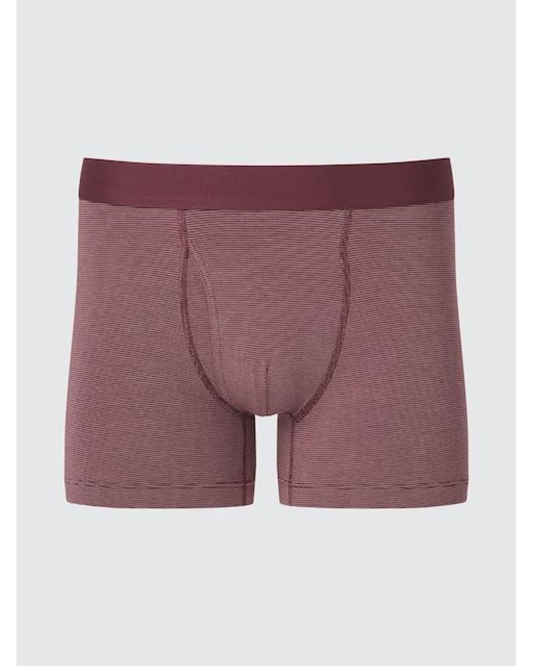 Uniqlo Purple Cotton Boxer Briefs (Striped) for men