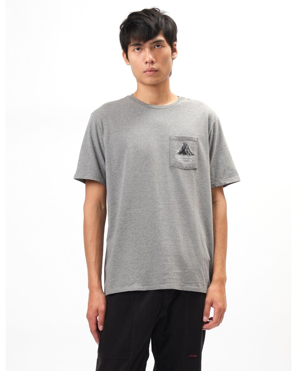 Patagonia Gray Chouinard Crest Pocket Responsibili-Tee T-Shirt for men