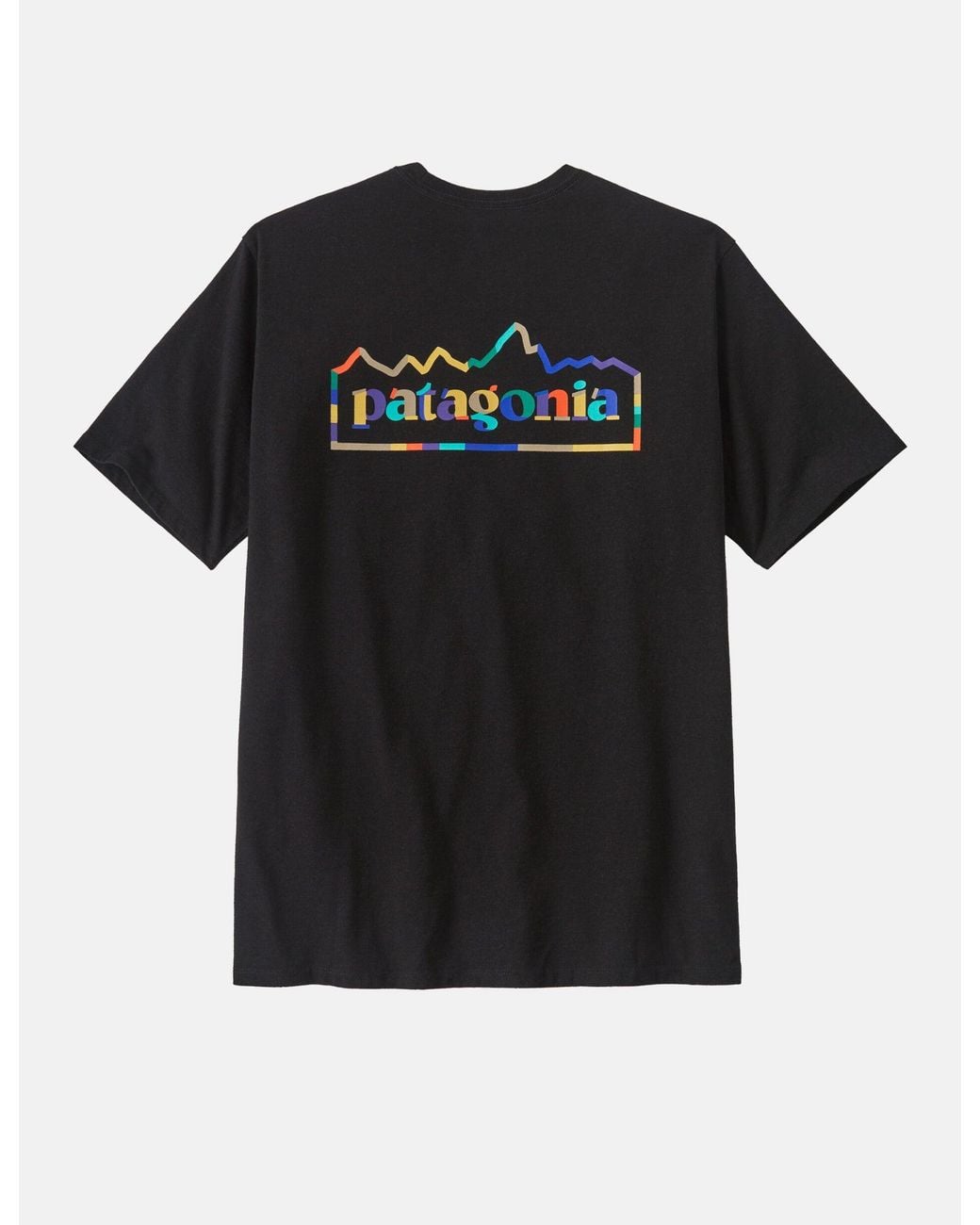 Patagonia Black Unity Fitz Responsibili-Tee for men