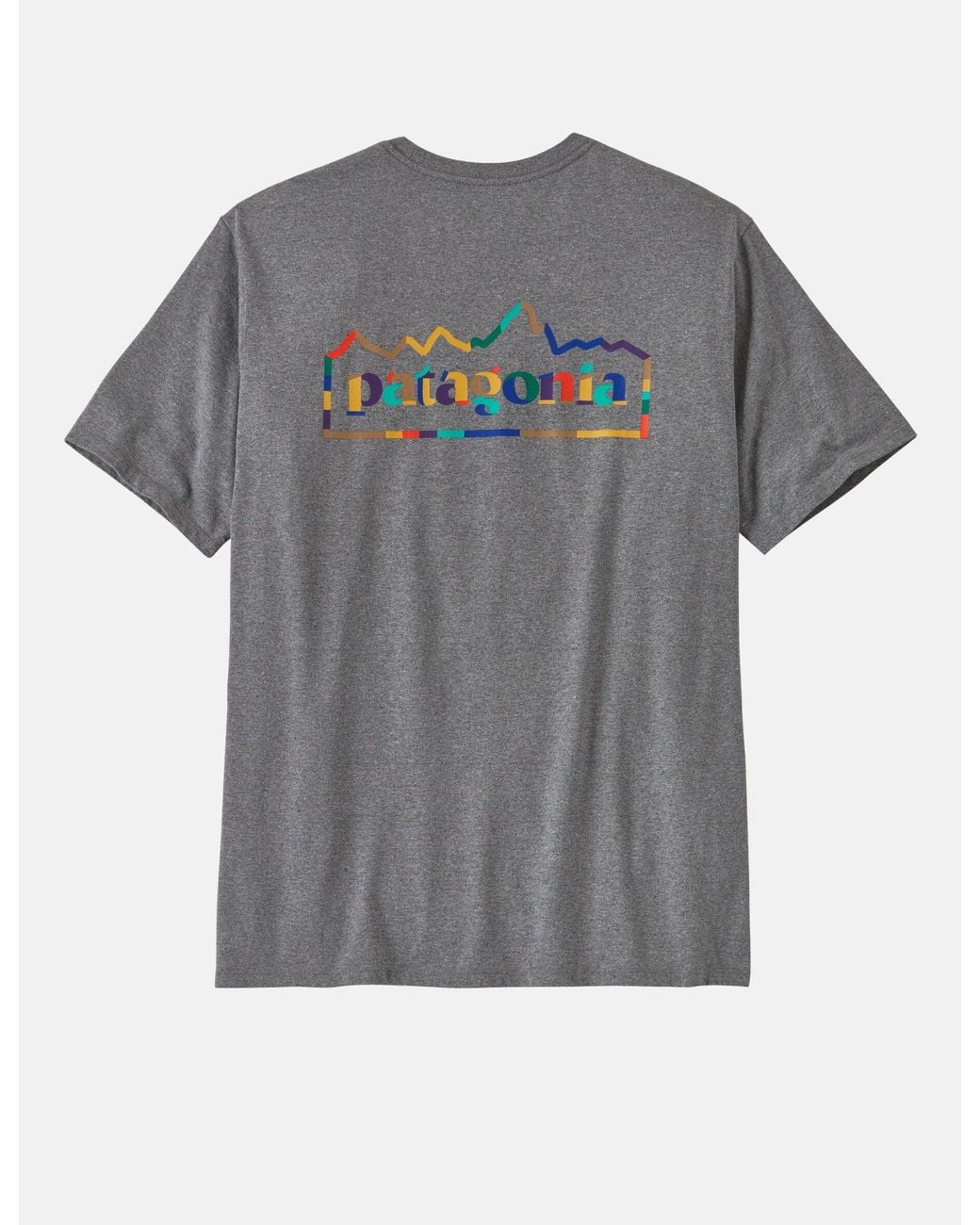 Patagonia Gray Unity Fitz Responsibili-Tee for men