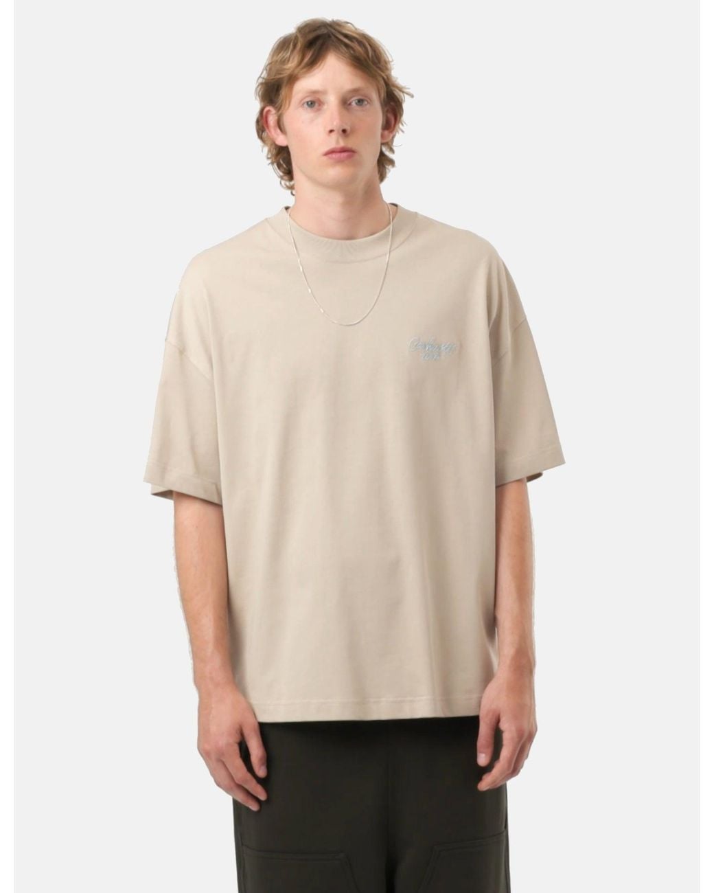 Carhartt Natural Signature Script T-Shirt for men