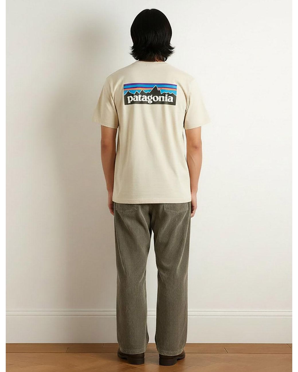 Patagonia Natural P-6 Logo T-Shirt for men
