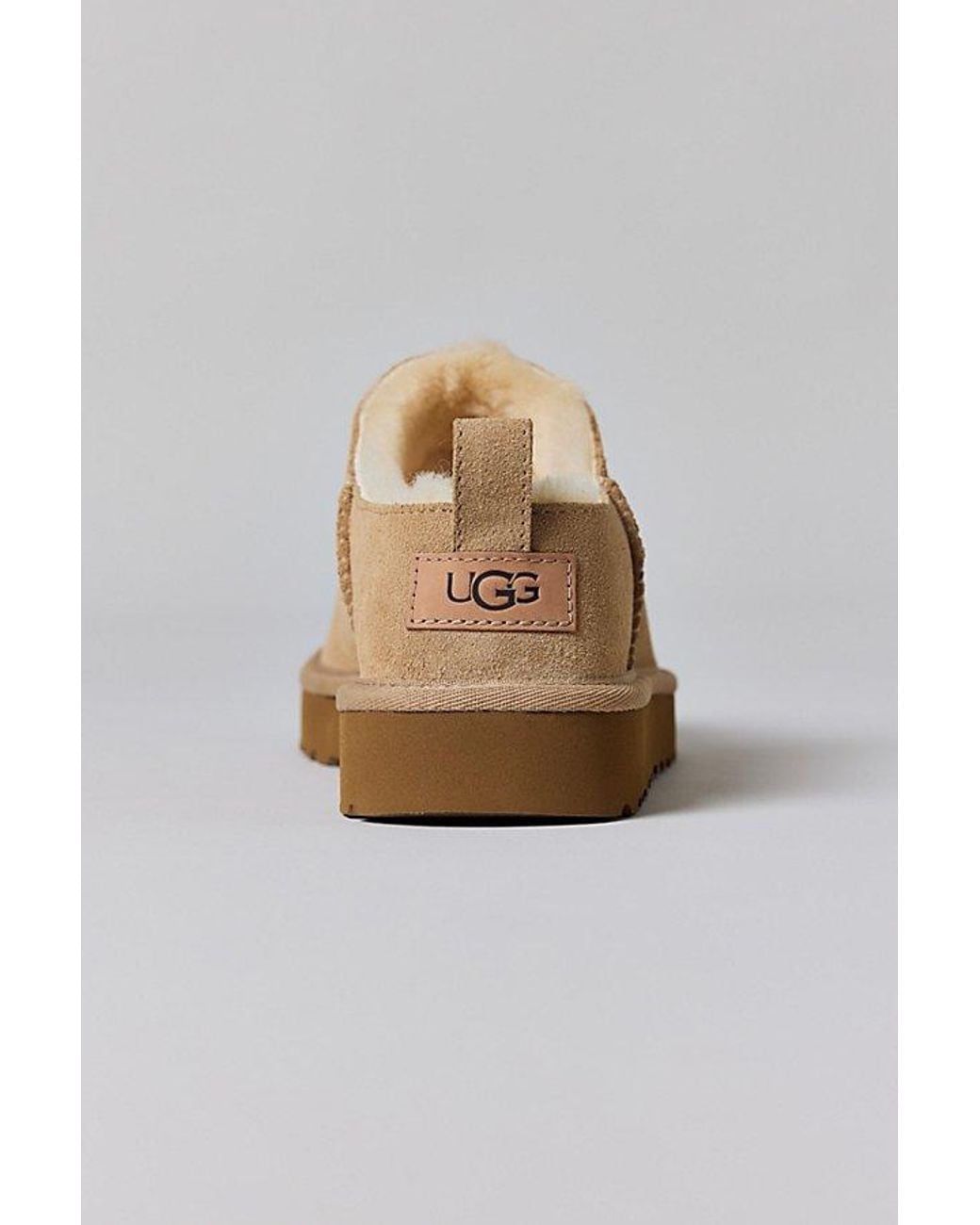 Ugg Multicolor Classic Micro Mini Suede Boots