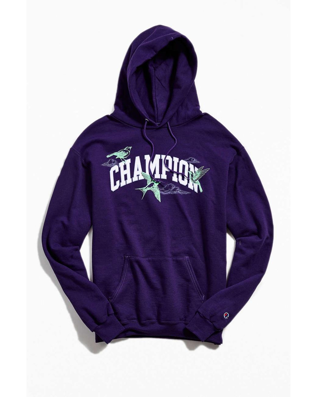 Champion hoodie with birds hotsell